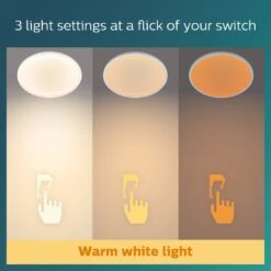 Philips Superslim Indoor Luminaire Flush To Ceiling Light -Home Furnishings Store 1122547 R Z004A