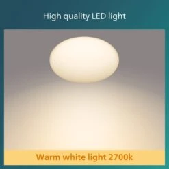 Philips Shan Indoor Motion Sensor Flush To Ceiling Light -Home Furnishings Store 1122561 R Z004A