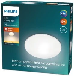 Philips Shan Indoor Motion Sensor Flush To Ceiling Light -Home Furnishings Store 1122561 R Z008A