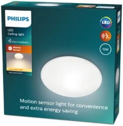 Philips Shan Indoor Motion Sensor Flush To Ceiling Light -Home Furnishings Store 1122561 R Z009A