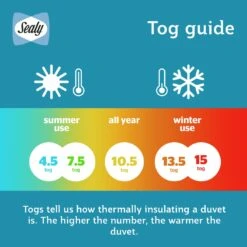 Sealy Anti Allergy Hollowfibre 10.5Tog Duvet - Single -Home Furnishings Store 1156623 R Z007A