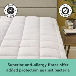 Sealy Anti Allergy Hollowfibre Mattress Topper - Double -Home Furnishings Store 1156702 R Z003A