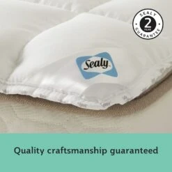 Sealy Anti Allergy Hollowfibre Mattress Topper - Double -Home Furnishings Store 1156702 R Z006A