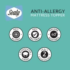 Sealy Anti Allergy Hollowfibre Mattress Topper - Double -Home Furnishings Store 1156702 R Z009A
