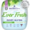 Slumberdown Ever Fresh 10.5 Tog Duvet - Single -Home Furnishings Store 1256767 R Z001A