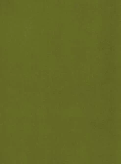 Habitat Alexis Velvet Cocktail Chair - Olive -Home Furnishings Store 1341287 R B001