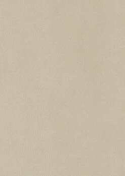 Habitat Alexis Velvet Cocktail Chair - Cream -Home Furnishings Store 1341294 R B001