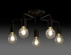 Habitat Rayner Steel 5 Light LED Flush Ceiling Light - Black -Home Furnishings Store 1518261 R Z002A