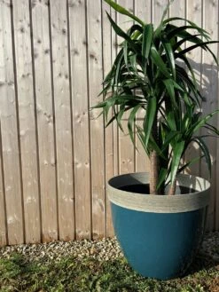 Terrastyle 54cm Plastic Blue Planter -Home Furnishings Store 1759673 R Z003A