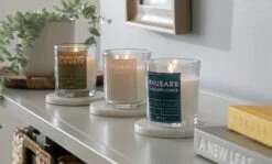 Habitat Medium Scented Boxed Candle Set - Set Of 3 -Home Furnishings Store 2253116 R Z001C