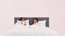 Emma Sleep All Seasons Anti Allergy 10.5 Tog Duvet - Double -Home Furnishings Store 2996758 R Z005A