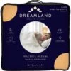 Dreamland Ivory Supersoft Dual Control Overblanket-King -Home Furnishings Store 4463973 R Z001A