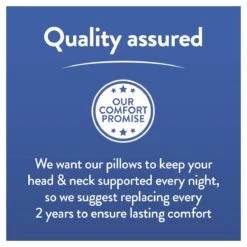 Slumberdown Cool Max Memory Support Firm Pillow -Home Furnishings Store 4539481 R Z010A