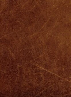 Habitat Livingston Leather 2 Seater Sofa - Tan -Home Furnishings Store 5599712 R B001