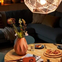 Philips 200W LED A95 ES Light Bulb -Home Furnishings Store 8988382 R Z004A