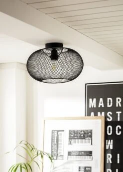 Habitat Tumba Mesh Flush To Ceiling Light - Black -Home Furnishings Store 9481156 R Z002C