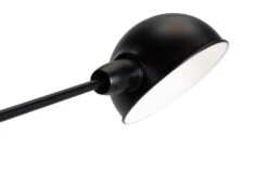 Habitat Jalonee Double Arm Floor Lamp - Black & Brass 18 Habitat Jalonee Double Arm Floor Lamp - Black & Brass -Home Furnishings Store 9616127 R Z006A